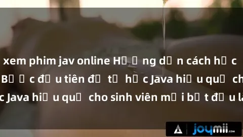 xem phim jav online Hướng dẫn cách học Java cho sinh viên: Bước đầu tiên để tự học Java hiệu quả cho sinh viên mới bắt đầu là gì?